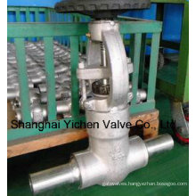 Extended Body Stainless Steel Gate Valve